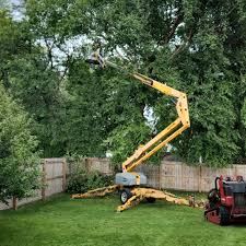 Best Lawn Mowing  in Monroe Manor, NJ